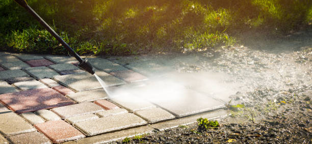 Animal Enclosure Cleaning in Fernandina Beach, FL